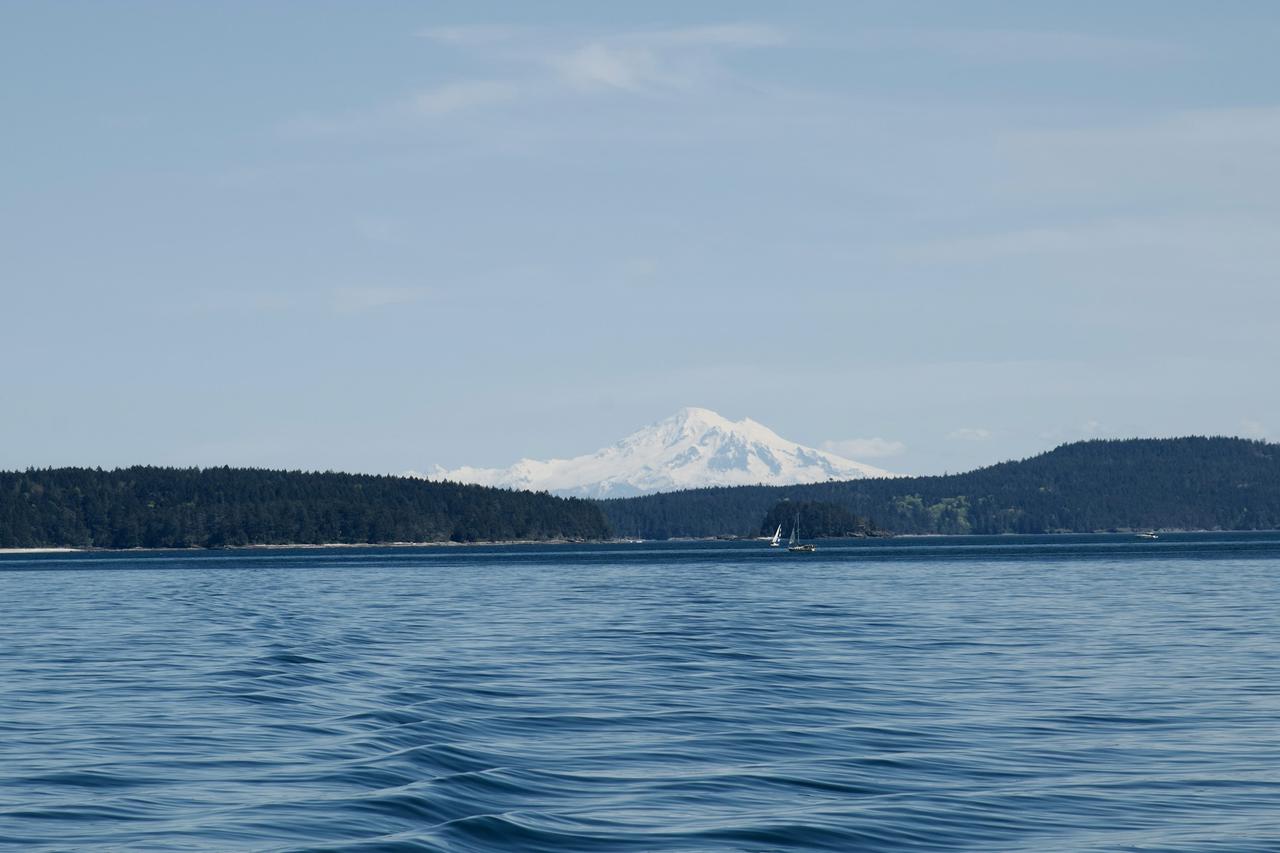 The ocean with mountains in the background while sailing in Victoria, BC.